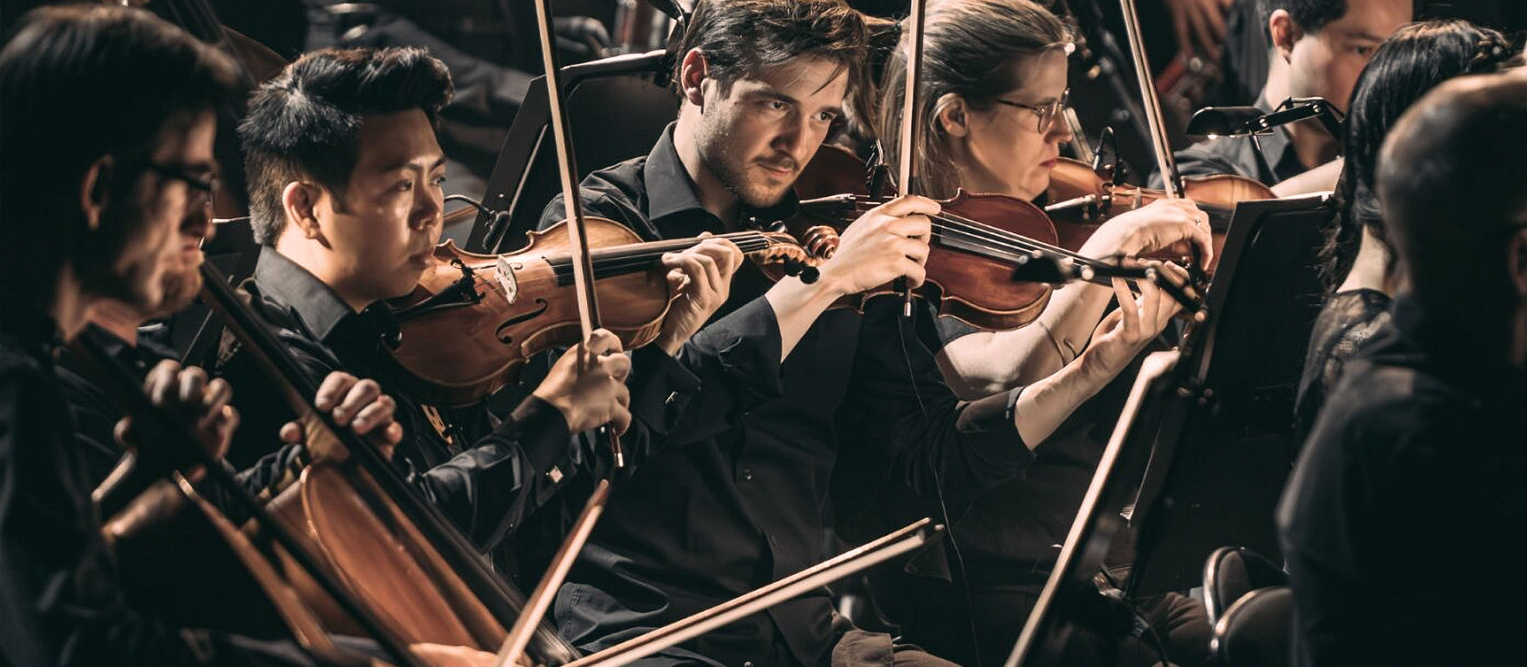 Violinister