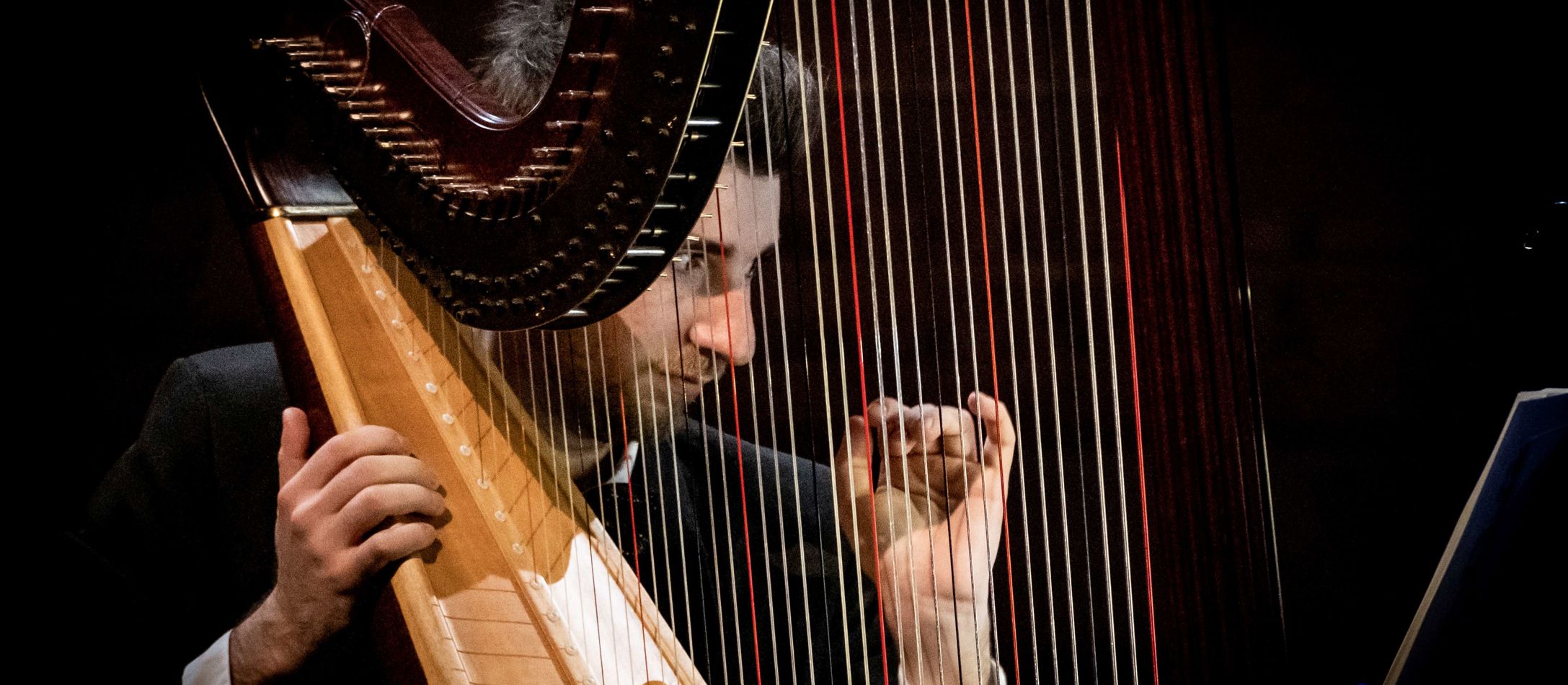 Zach Hatcher spiller på en stor og flot harpe foran sort baggrund