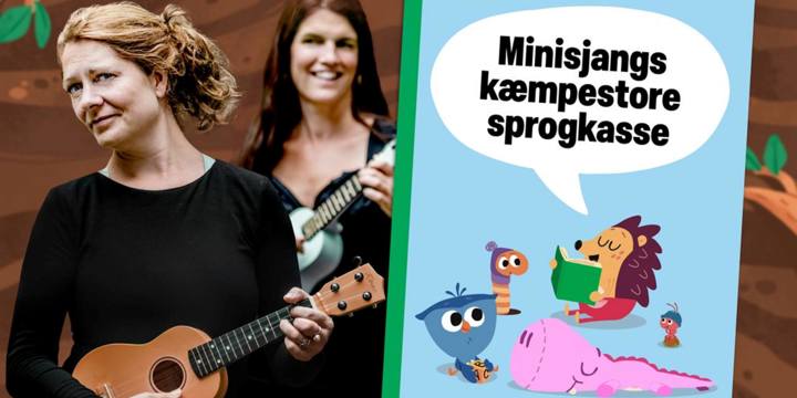 Minisjang Sprogkasse X DRKH 2550X1275